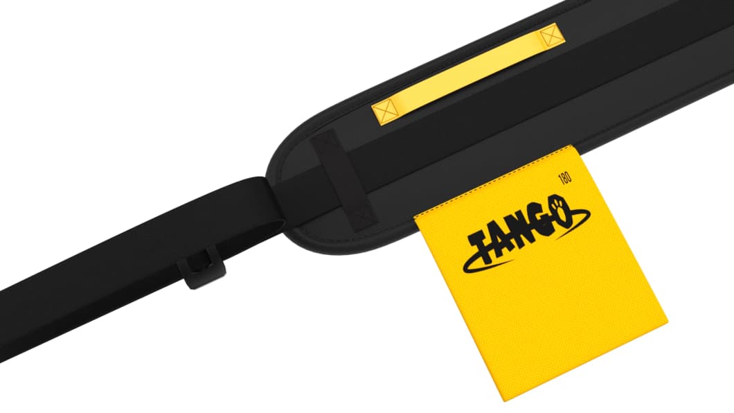 tango belt 02 (1)
